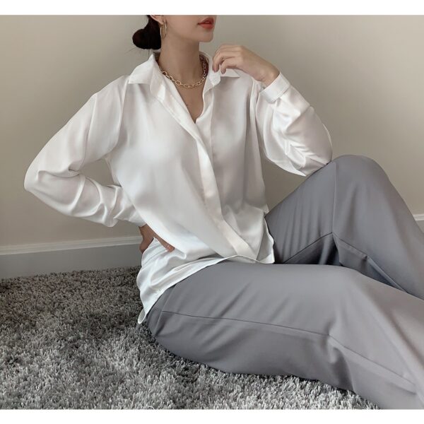 [BBSTORE'S] Sơ Mi Phi Công Sở Năm Màu - TK43 - Hình ảnh 3