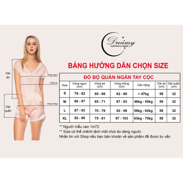 Đồ bộ nữ , đồ mặc nhà , đồ ngủ tay ngắn lụa mềm mại DREAMY DN13 - Ảnh 8