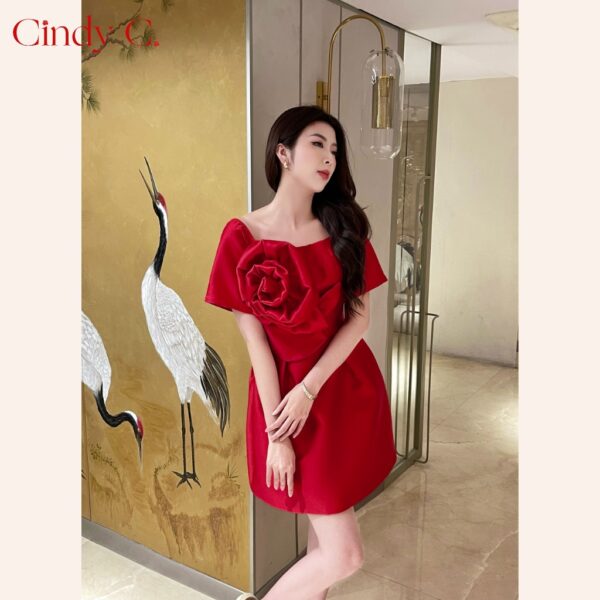 Đầm Briona CINDY C 499 - Hình ảnh 2