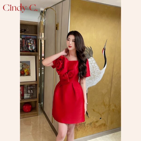 Đầm Briona CINDY C 499 - Hình ảnh 3