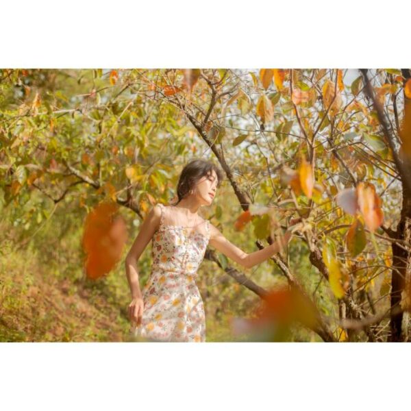 SÒ VINTAGE - ROEE Đầm hoa phối lưới bèo xé