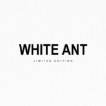 WHITE ANT