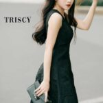 Đầm Gấm Đen 39D005 TRISCY