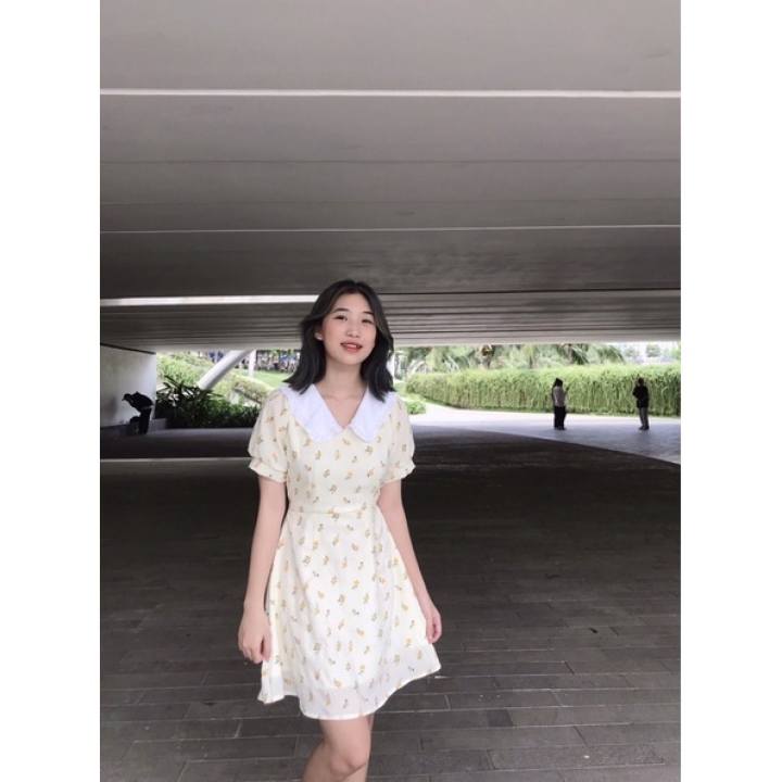 Đầm hoa bèo cổ