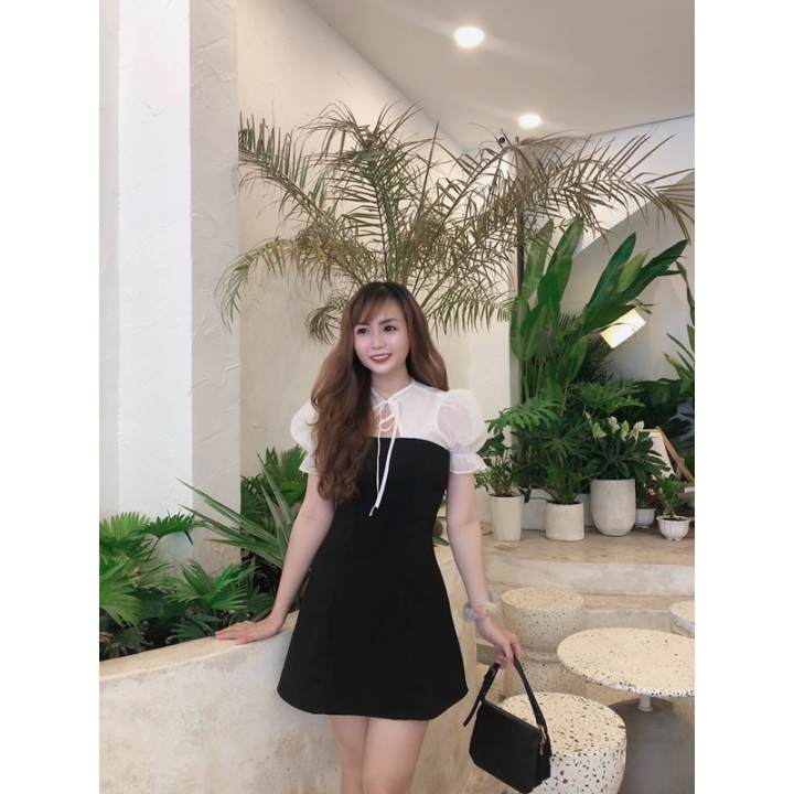 Đầm Wonder House Phối Trắng Cổ Tròn Thắt Nơ