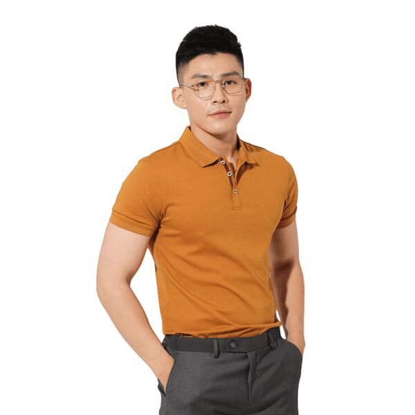 Áo Thun Có Cổ POLO Nam Cao Cấp AKUBA 02D221 - Hình ảnh 3